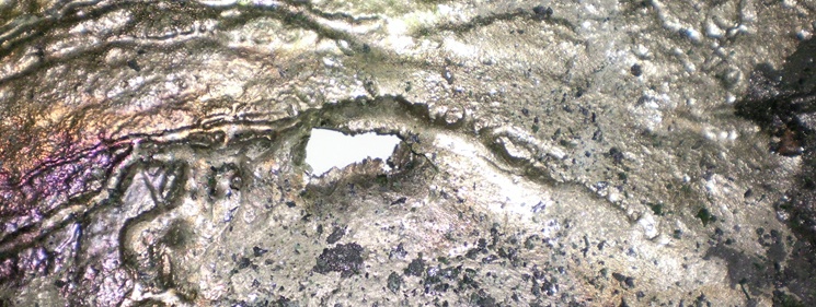 salt pot header 1